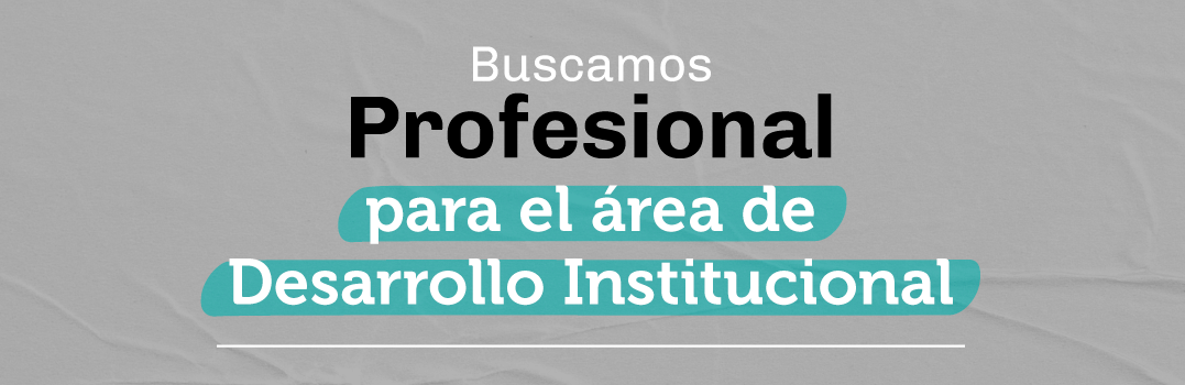 Profesional para el área de Desarrollo Institucional